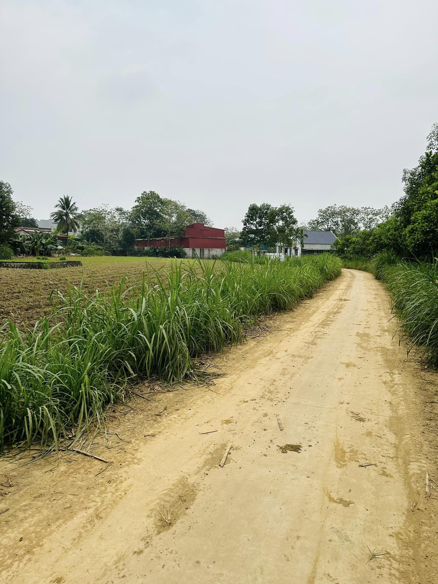 CHÍNH CHỦ GIA ĐÌNH BÁN LÔ ĐẤT QL 47 TẠI THỊ TRẤN THƯỜNG XUÂN, THANH HÓA