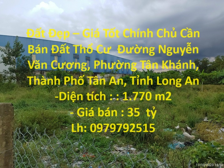 Đất Đẹp – Giá Tốt Chính Chủ Cần Bán Đất Thổ Cư Đường Nguyễn Văn Cương, Phường Tân Khánh, TP.Tân An.