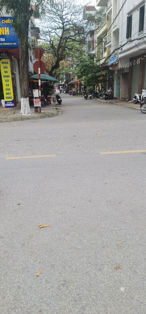 Mặt Phố, KInh Doanh Sầm Uất, Nhà 3 Tầng lô góc.