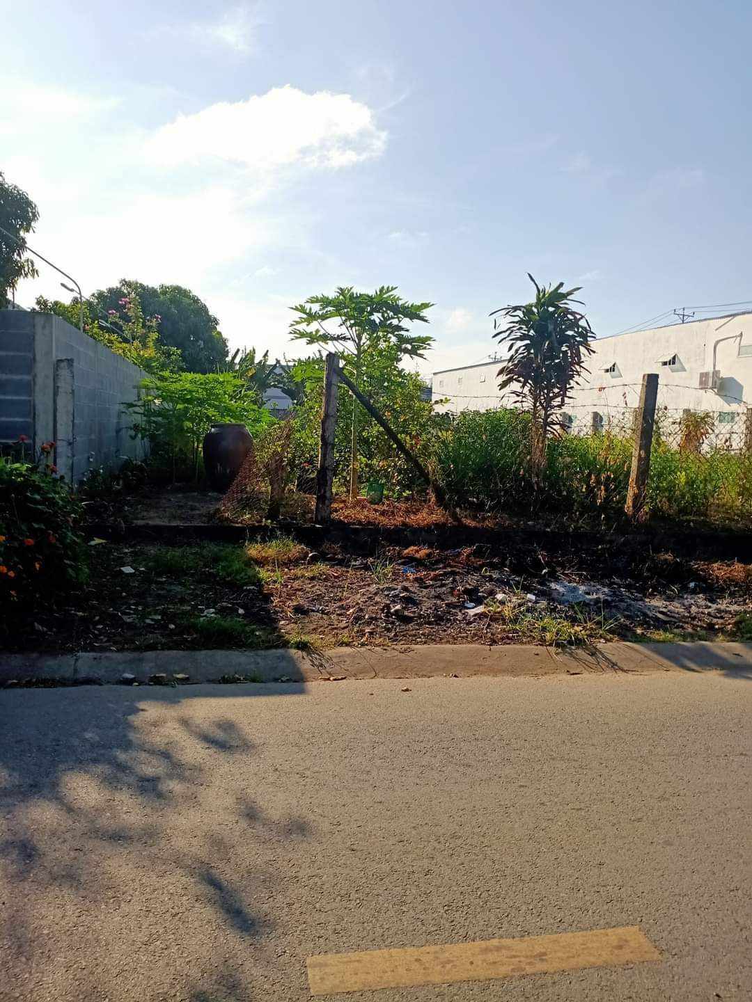 Chính chủ cần bán nhanh lô đất mặt tiền Đường Lê Hoàng Chiếu, Thị Trấn Bình Đại