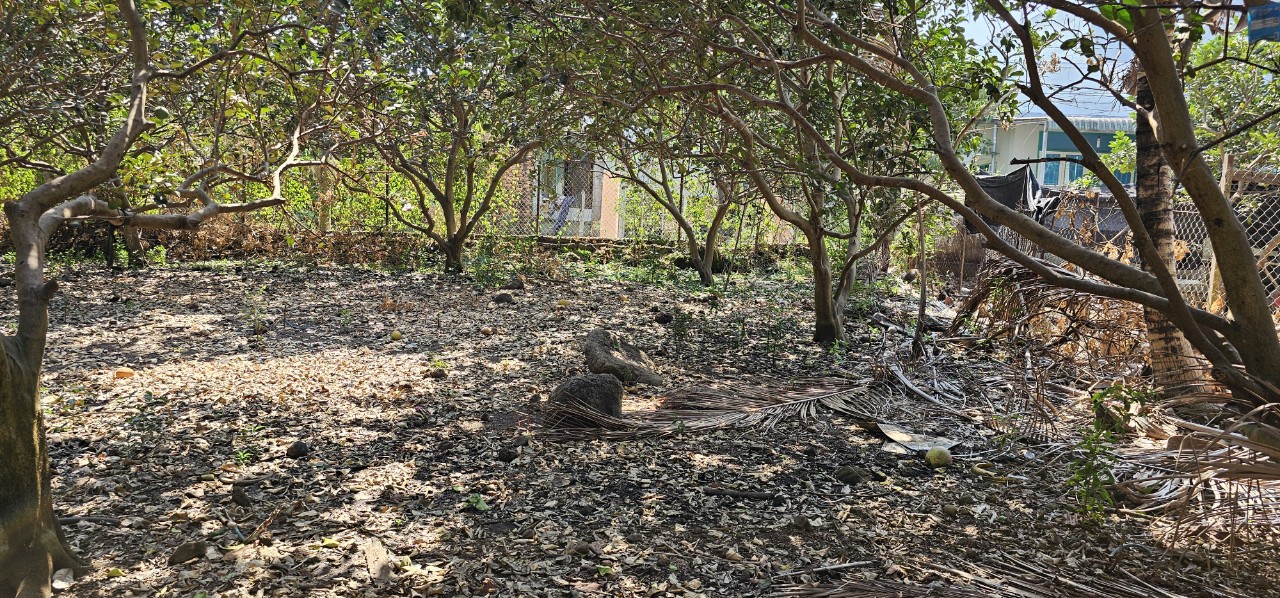 @@CHÍNH CHỦ CẦN BÁN LÔ ĐẤT NHÀ VƯỜN ĐƯỜNG VP ẤP HƯNG THỊNH XÃ HƯNG THỊNH, HUYỆNTRẢNG BOM , TỈNH ĐỒNG NAI