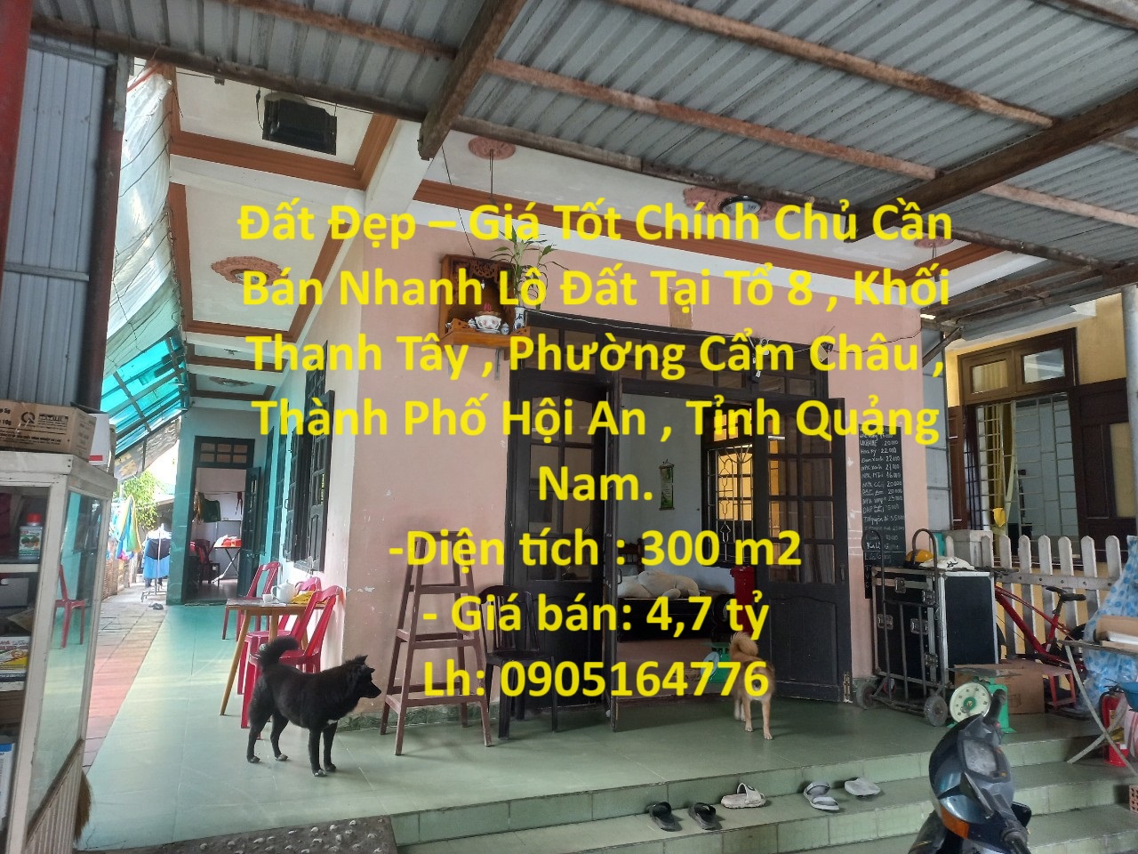 Đất Đẹp – Giá Tốt Chính Chủ Cần Bán Nhanh Lô Đất Tại Cẩm Châu, TP Hội An.