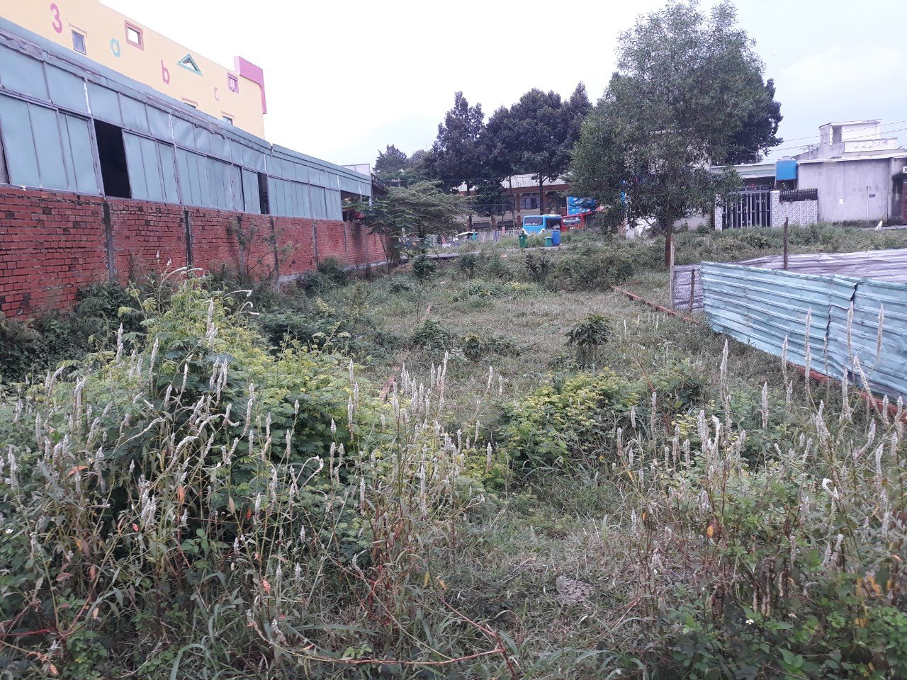 * HOT * CHÍNH CHỦ CẦN BÁN GẤP LÔ ĐẤT PHƯỜNG PHƯỚC TÂN -TP BIÊN HOÀ - ĐỒNG NAI *