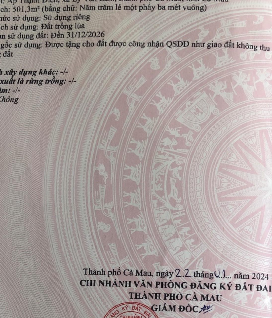 CHÍNH CHỦ CẦN BÁN LÔ ĐẤT VỊ TRÍ ĐẸP TẠI ấp Thạnh Điền, xã Lý Văn Lâm, TP Cà Mau, Cà Mau