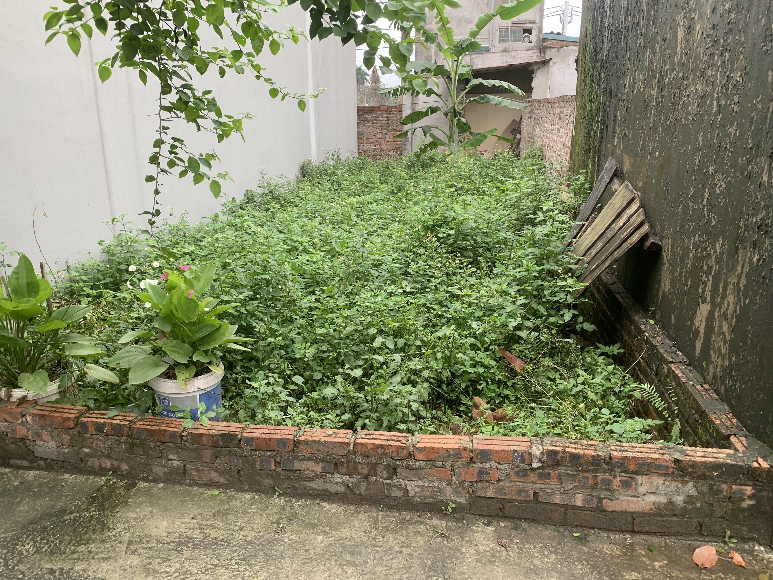 Chủ thiện chí bán 55,2m Thôn Nguyên Khê, Xã Nguyên Khê, Đông Anh. Ngõ ôtô 7 chỗ vào tận Đất