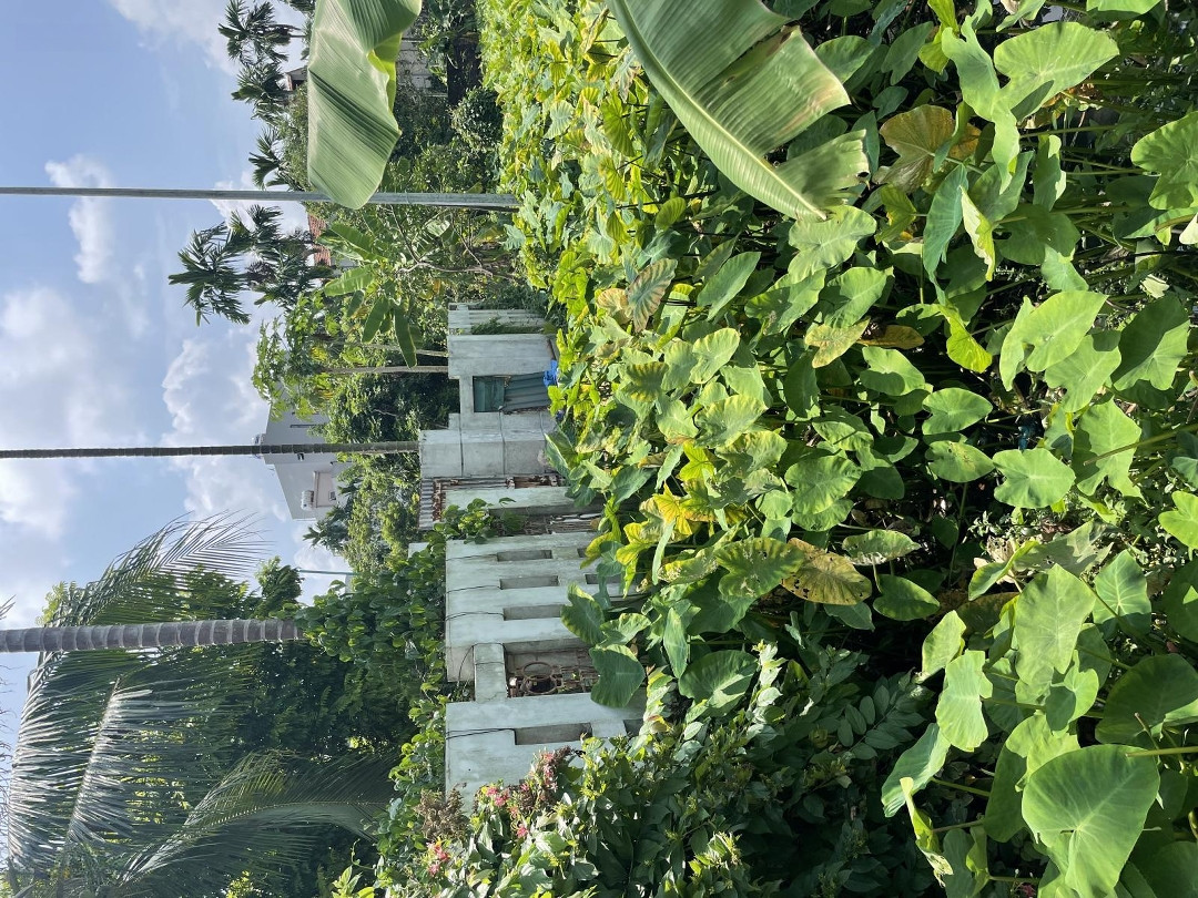 Chính Chủ Bán 200M2 Đất Trống Đồng Mai - Đầu Tư Hoặc Để Ở Đều Tuyệt