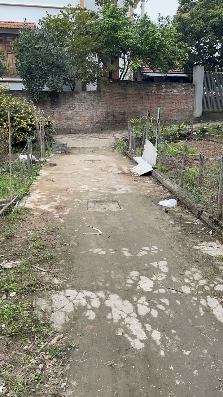 Nhỉnh tỷ -48,5m đất phụng châu chương Mỹ - đường thông , thoáng - cách mặt đường liên xã chỉ 3 nhà