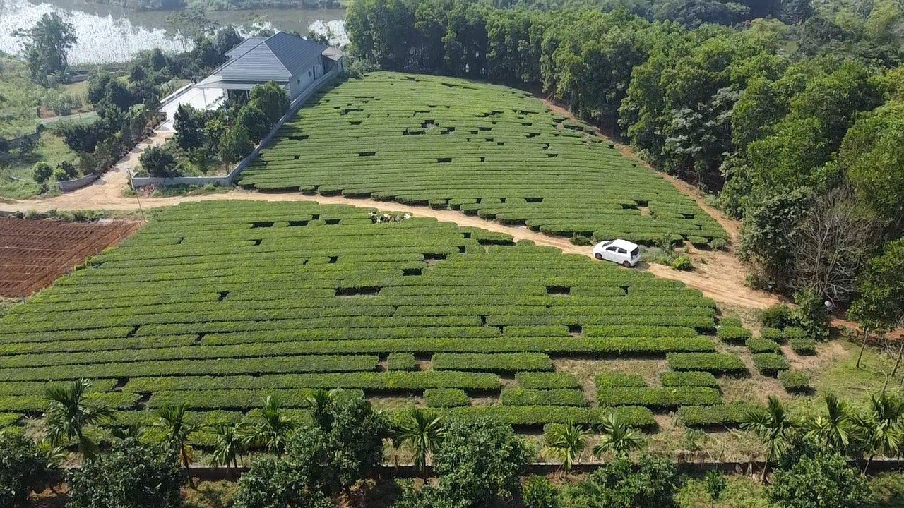 * CHÍNH CHỦ CẦN BÁN LÔ ĐẤT XÃ TU VŨ - HUYỆN THANH THUỶ - PHÚ THỌ