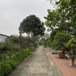 6100m2 - 5