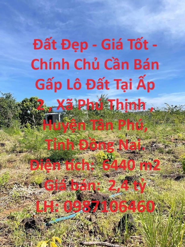 Đất Đẹp - Giá Tốt - Chính Chủ Cần Bán Gấp Lô Đất Tại Phú Thịnh , Tân Phú ,Đồng Nai.