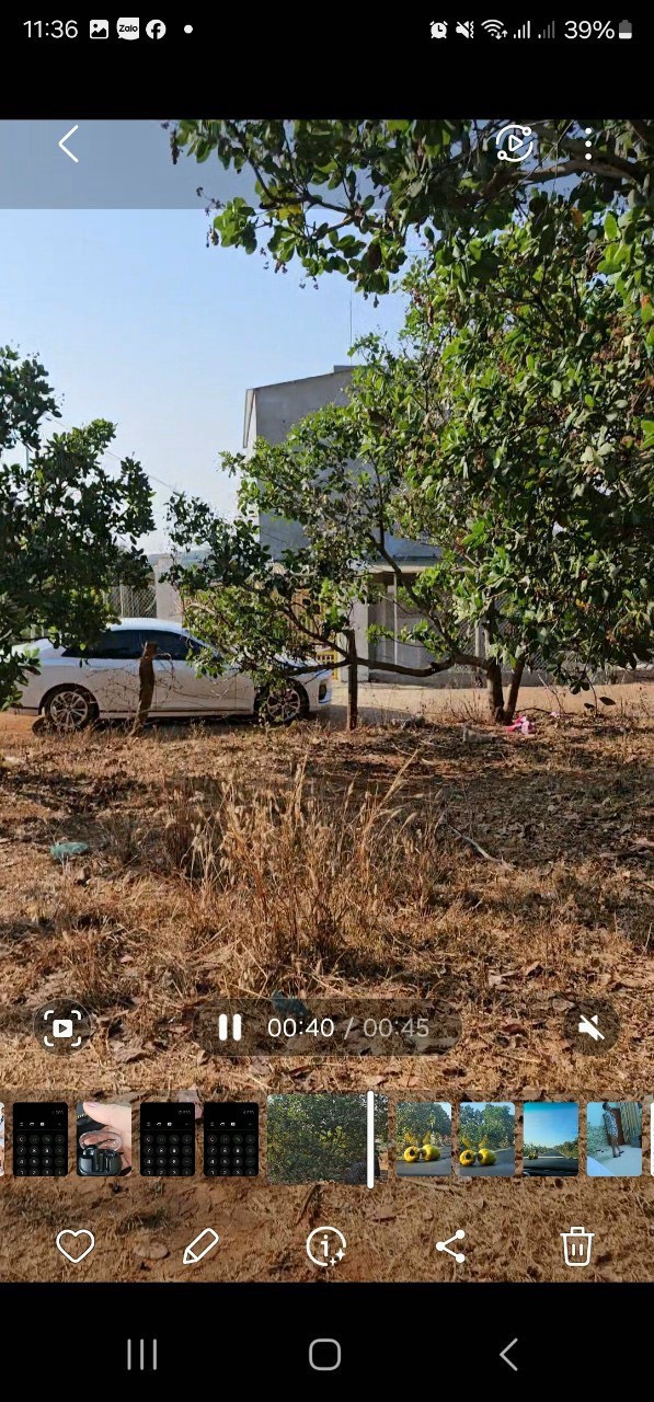 GẤP GẤP ra nhanh lô đất thuộc thôn Ia kle xã Ia Nan huyện Đức Cơ tỉnh GIa Lai