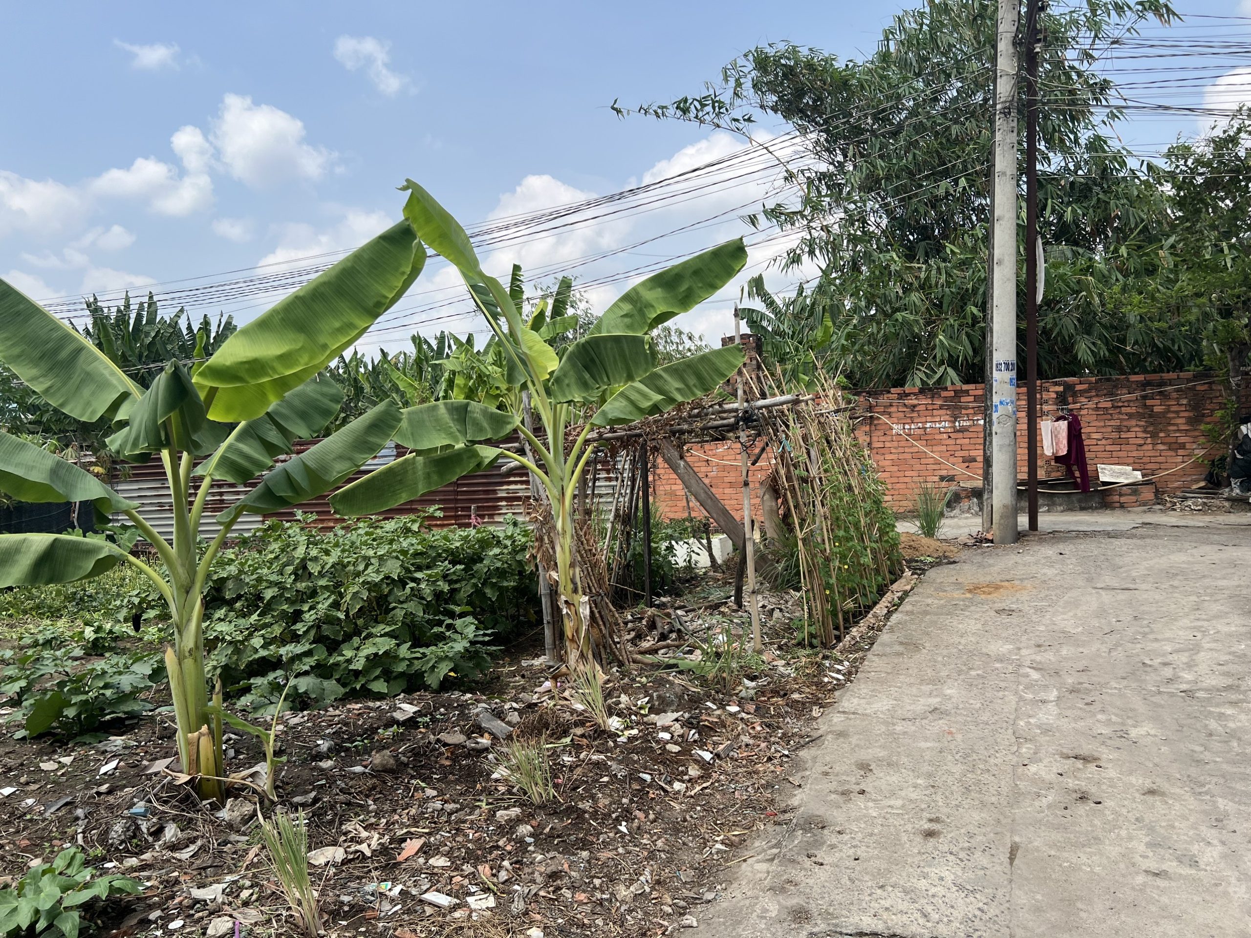 Kẹt tiền bán lô đất 160m2 Bến Gỗ,đường xe hơi,gần bệnh viện Shingmark,giá rẻ