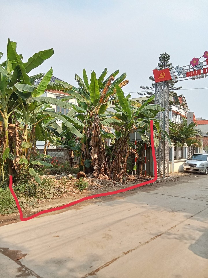 Chính chủ cần bán gấp lô siêu đẹp tại xã Kim Long, Tam Dương, Vĩnh Phúc.