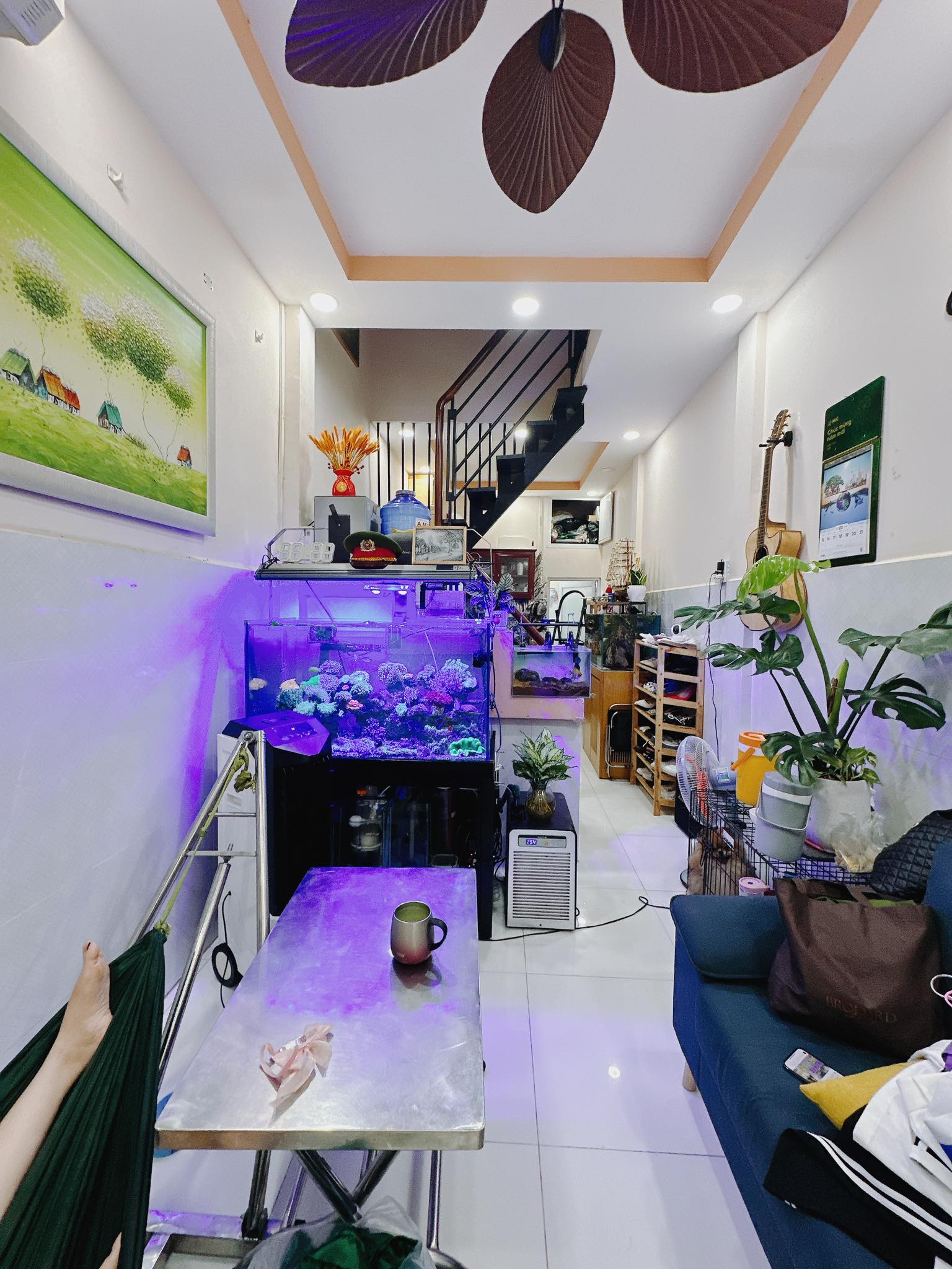 Hẻm 3m DT Ngang 5.35 x12 m hơn 70 triệu m Q4 Xóm Chiếu, thu nhập 20 triệu