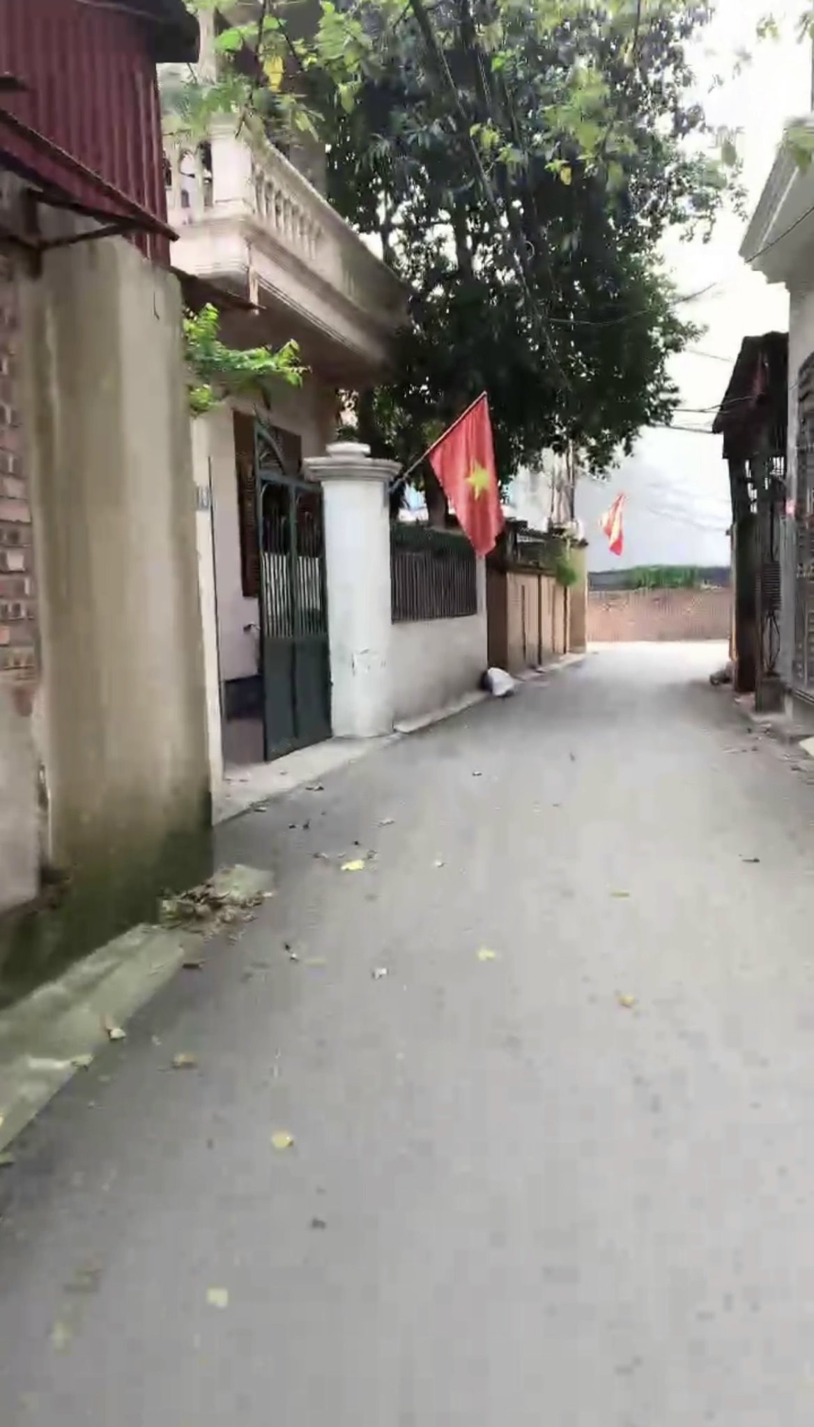 Chính chủ gửi bán 50m2 đất ngõ 114 Tân Phong, Thuỵ Phương gần viện chăn nuôi