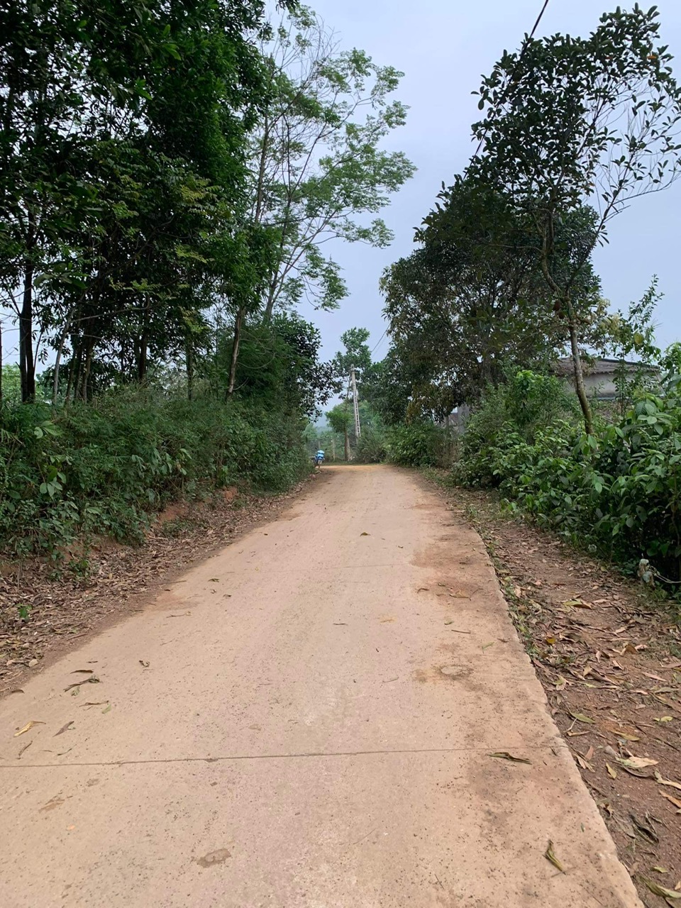 MỘT CƠ HỘI ĐẦU TƯ LỚN TẠI XÃ VŨ BÌNH , HUYỆN LẠC SƠN , TỈNH HOÀ BÌNH .