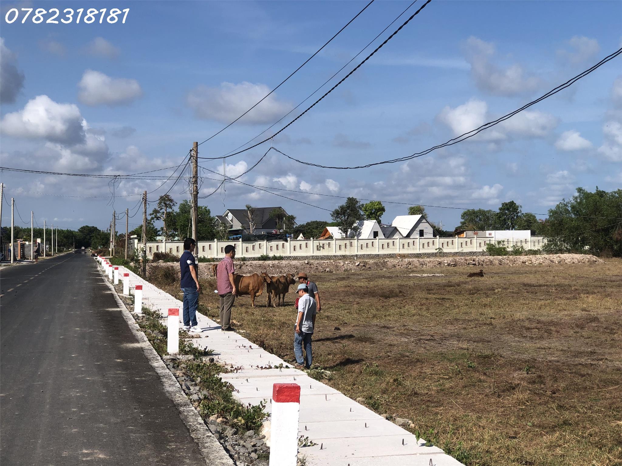 1000m2 Long Mỹ 200tc, mt 12.4m, khu QH đô thị DL biển cùng Phước Hải, 4ty5 bao thuế phí