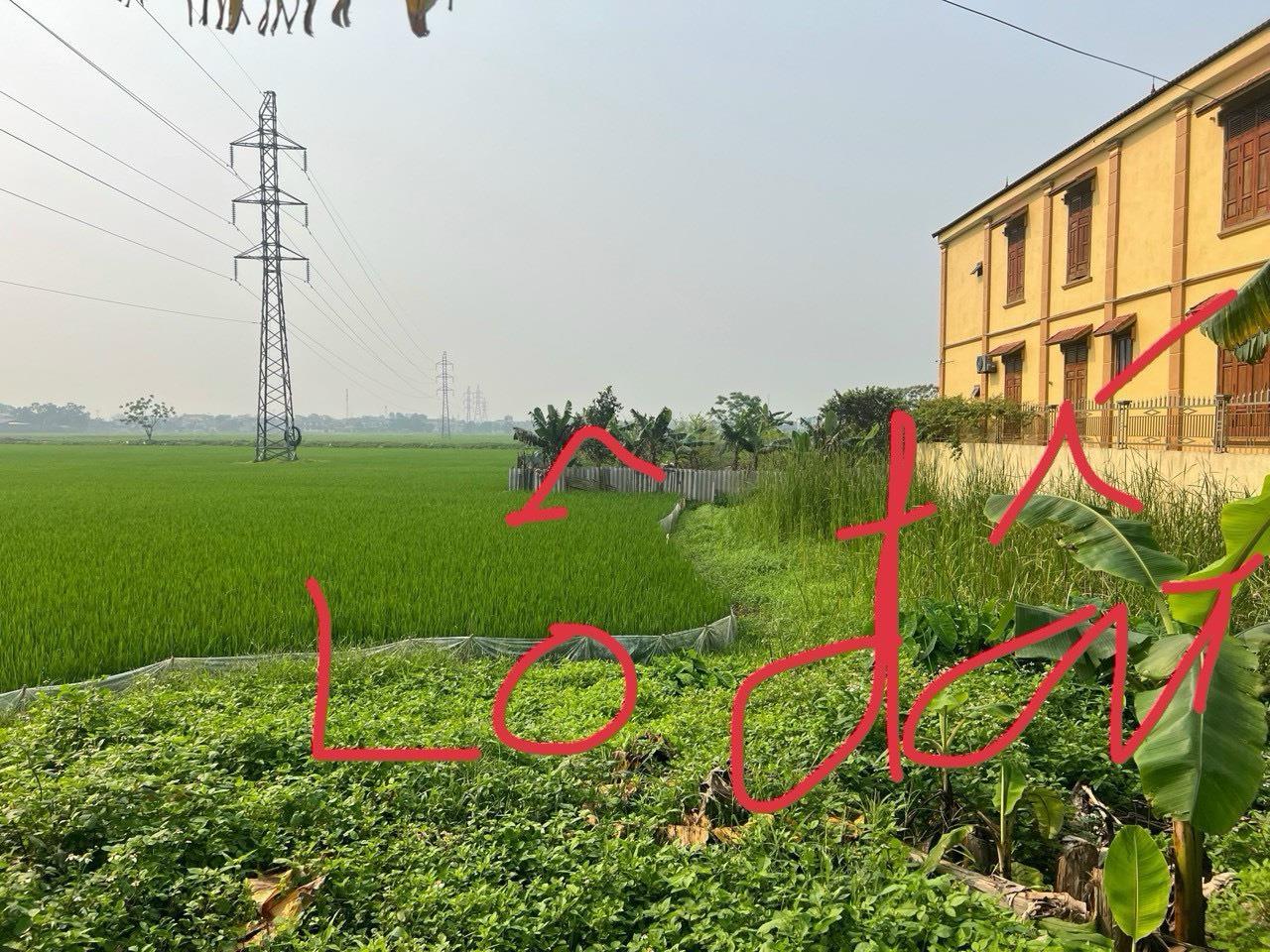 Chính Chủ - CẦN BÁN 2 LÔ ĐẤT LIỀN KỀ Đường Trục Chính Đường Hoằng Quỳ Đi Hoàng Hợp - Thanh Hóa
