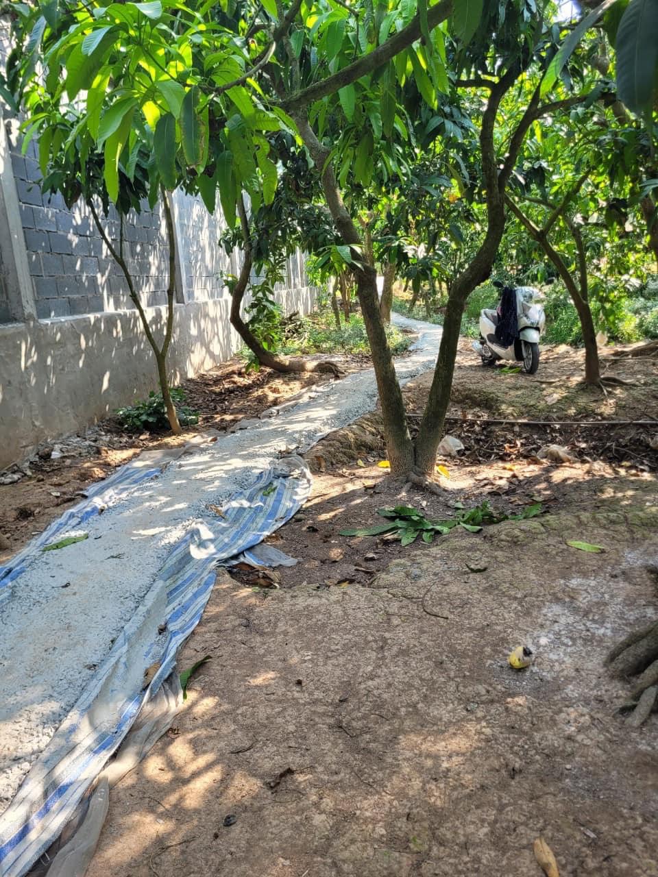 Chính chủ bán 300m2 đất vị trí đẹp tại An Nhơn, P.6, TP.Cao Lãnh, Đồng Tháp