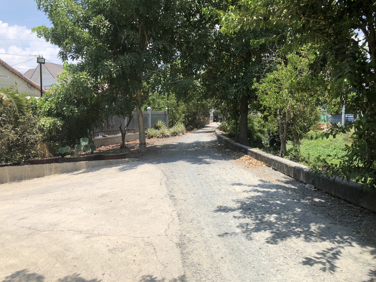 Gấp Bán Đất 2.222m2 Vườn Lài An Phú Đông Q12 Ful Tc Chỉ 56 Tỷ