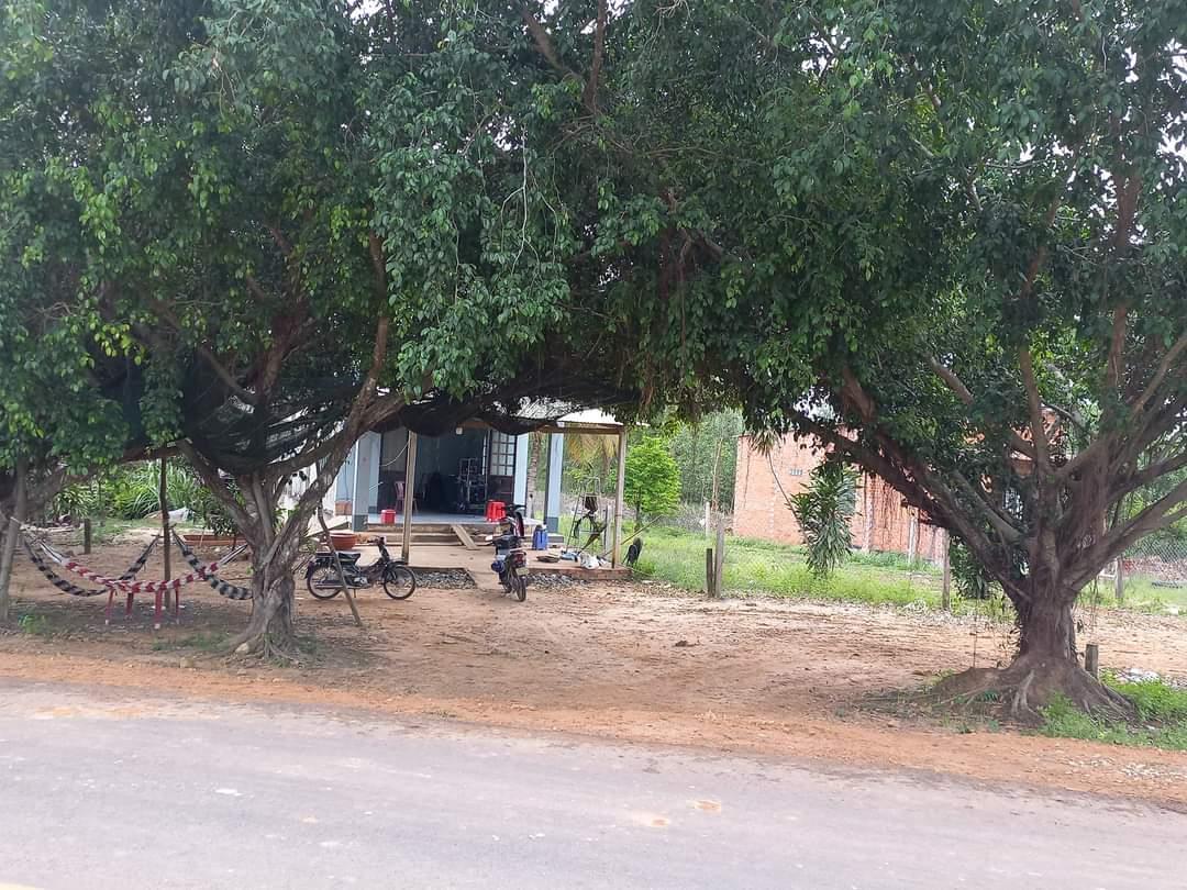 ĐẤT CHÍNH CHỦ - GIÁ TỐT - Tại Ấp Xóm Mới 2, Xã Trí Bình - Châu Thành, Tây Ninh