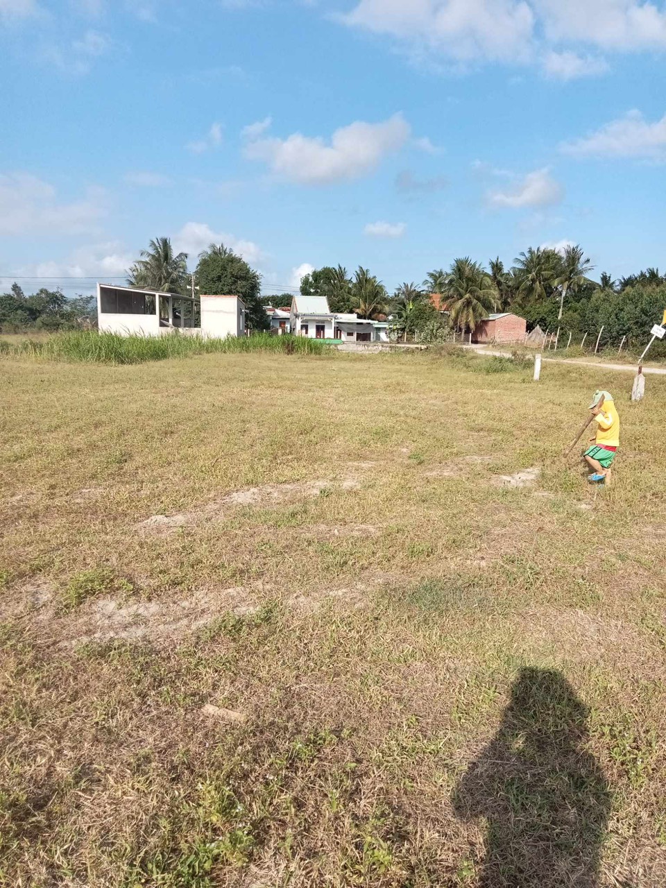 XẢ LỖ LÔ ĐẤT TẠI PHÙ MỸ, BÌNH ĐỊNH