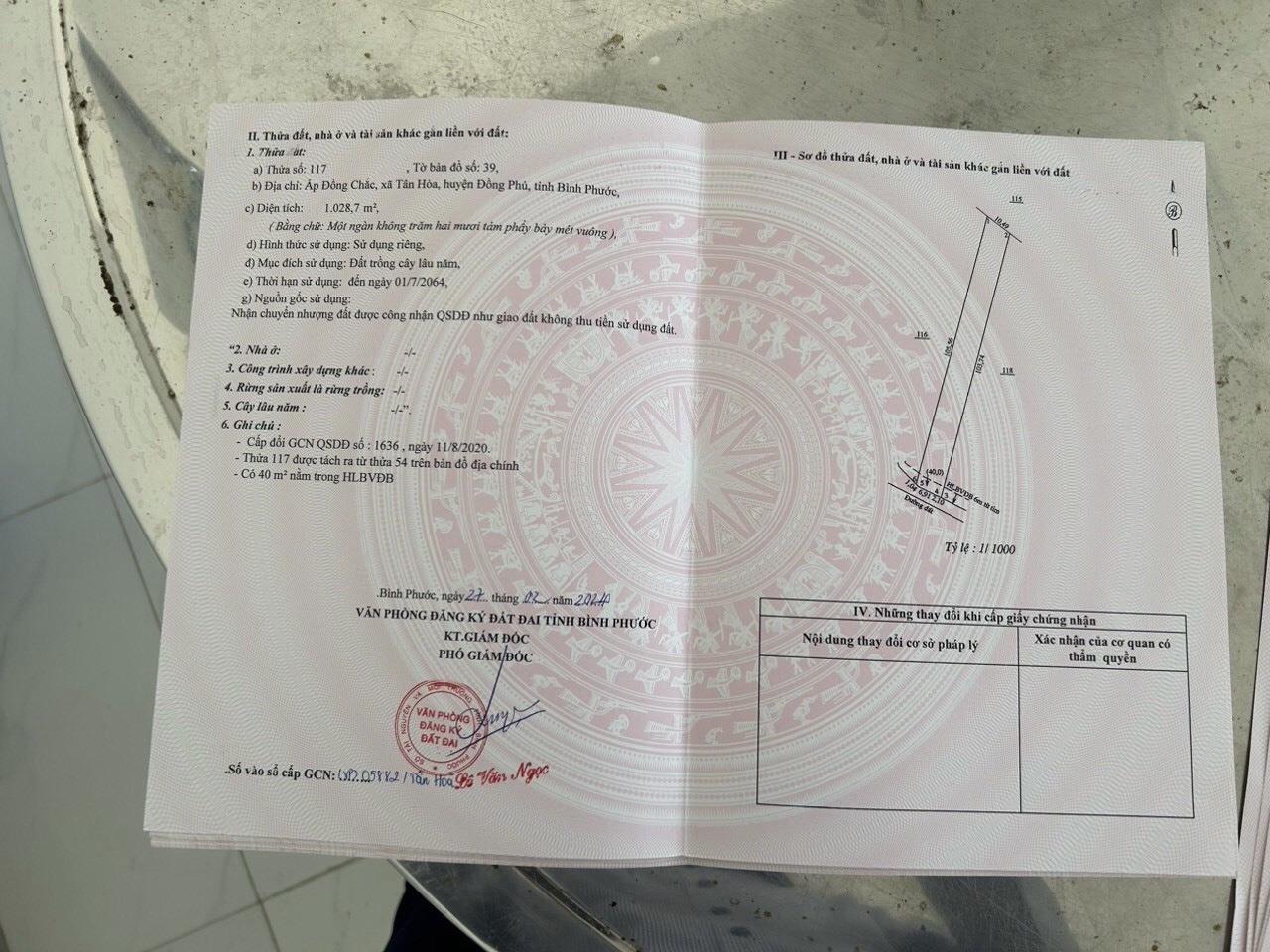 SỞ HỮU NGAY 2 LÔ ĐẤT CHÍNH CHỦ TẠI Xã Tân Hòa, huyện Đồng Phú, Bình Phước