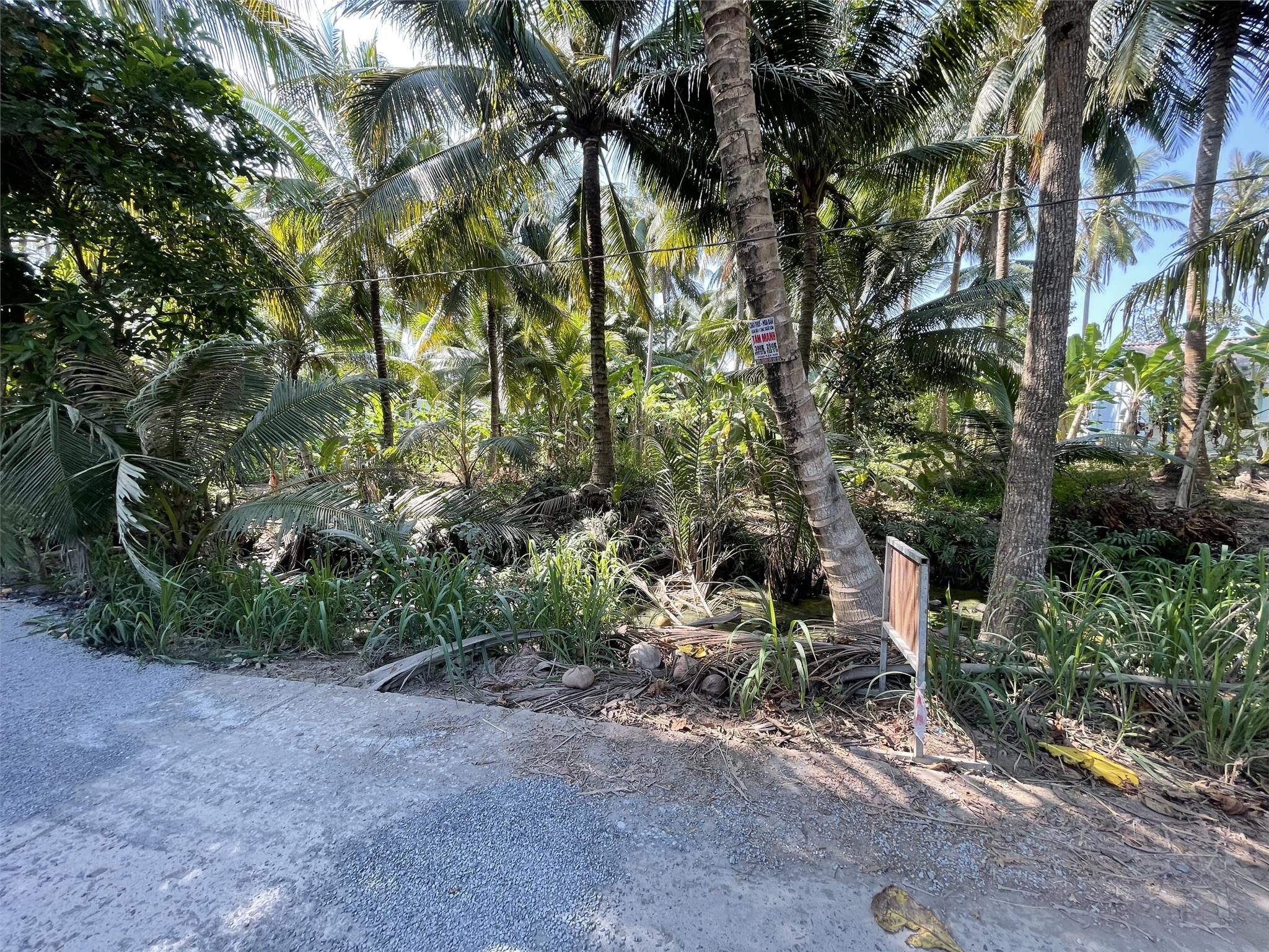 HOT HOT HOT !!! Cần Bán Đất CLN Giá Rẻ Tại Xã Lương Hòa, Huyện Châu Thành, Trà Vinh