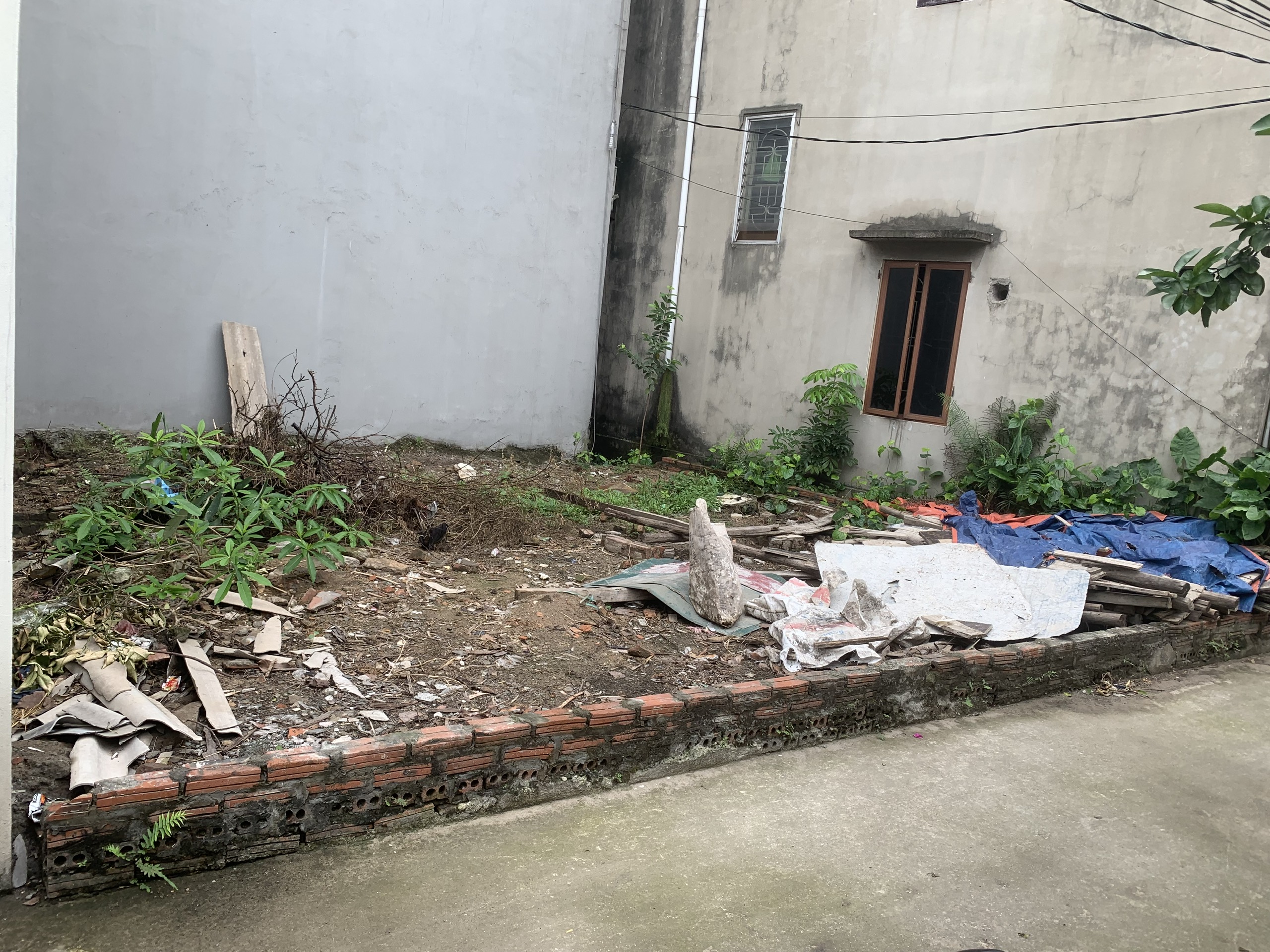 Chính chủ cần bán gấp 46,8m2 đất thôn Đình Trung, Xuân Nộn, Đông Anh. Đất full thổ cư, đường ngõ ô tô thông