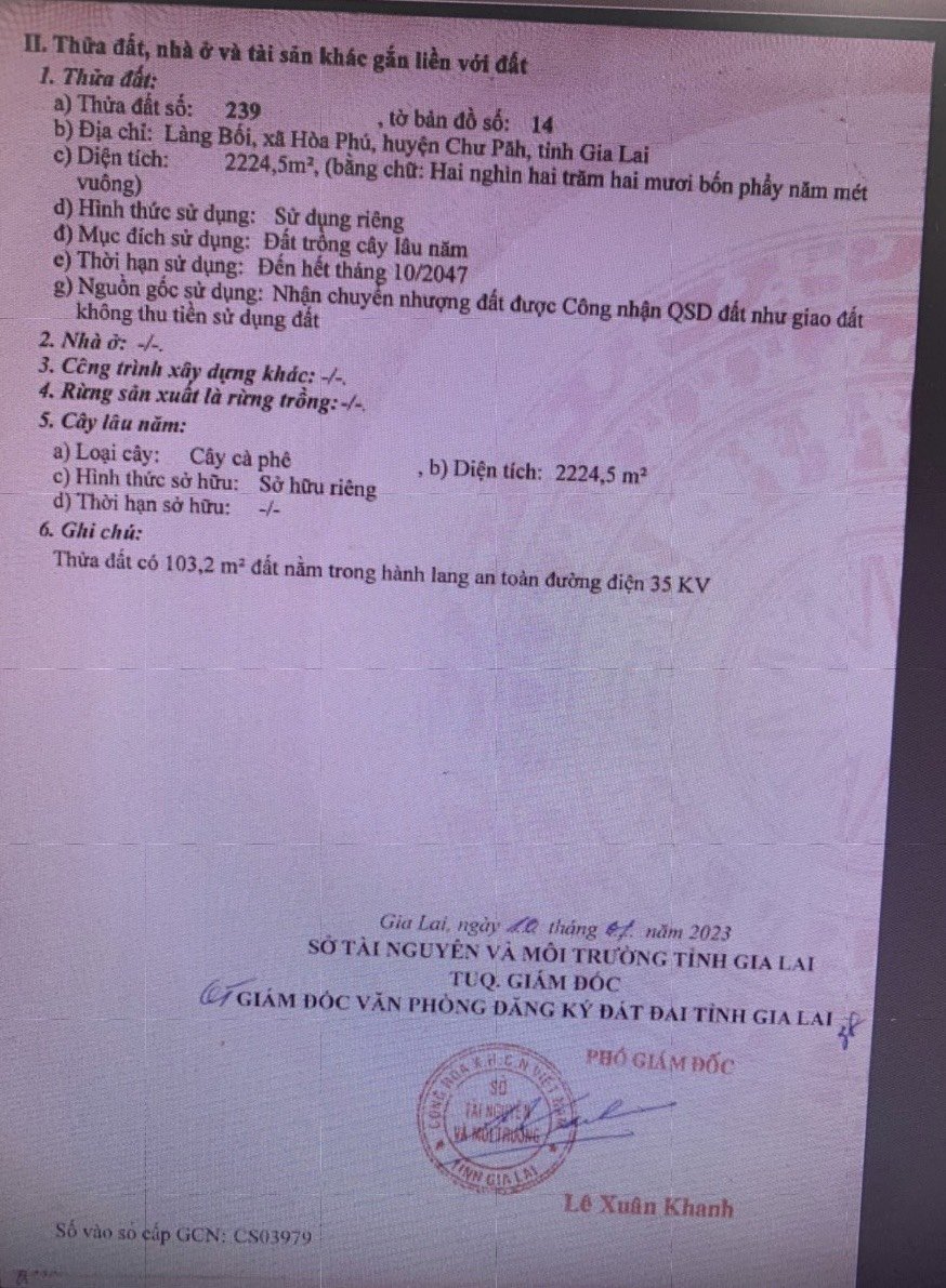 CẦN BÁN ĐẤT TẠI HUYỆN CHƯ PÃP , TỈNH GIA LAI