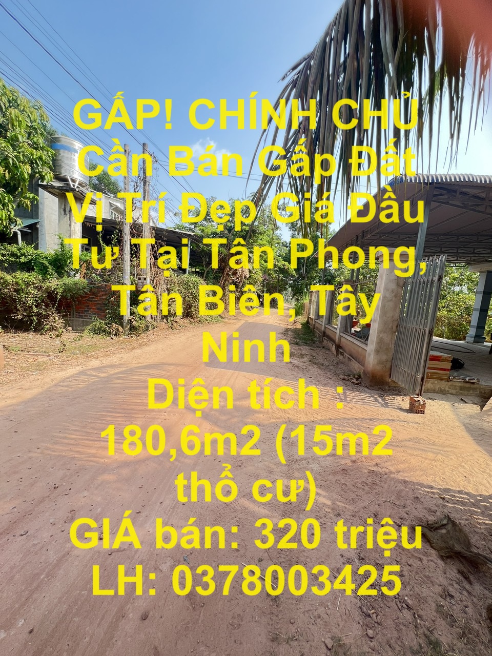 GẤP! CHÍNH CHỦ Cần Bán Gấp Đất Vị Trí Đẹp Giá Đầu Tư Tại Tân Phong, Tân Biên, Tây Ninh