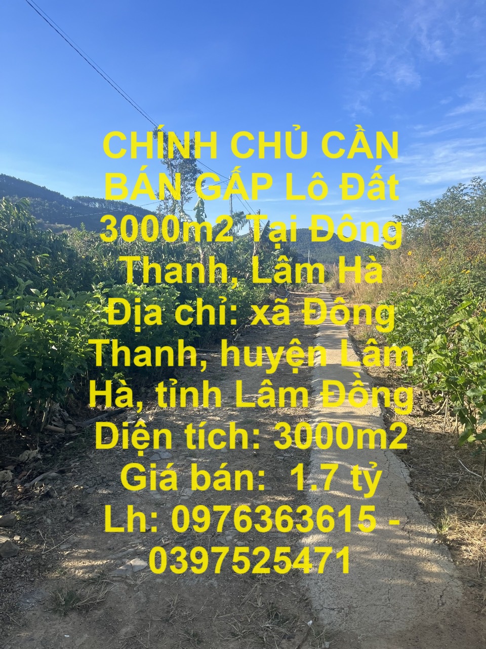 CHÍNH CHỦ CẦN BÁN GẤP Lô Đất 3000m2 Tại Đông Thanh, Lâm Hà