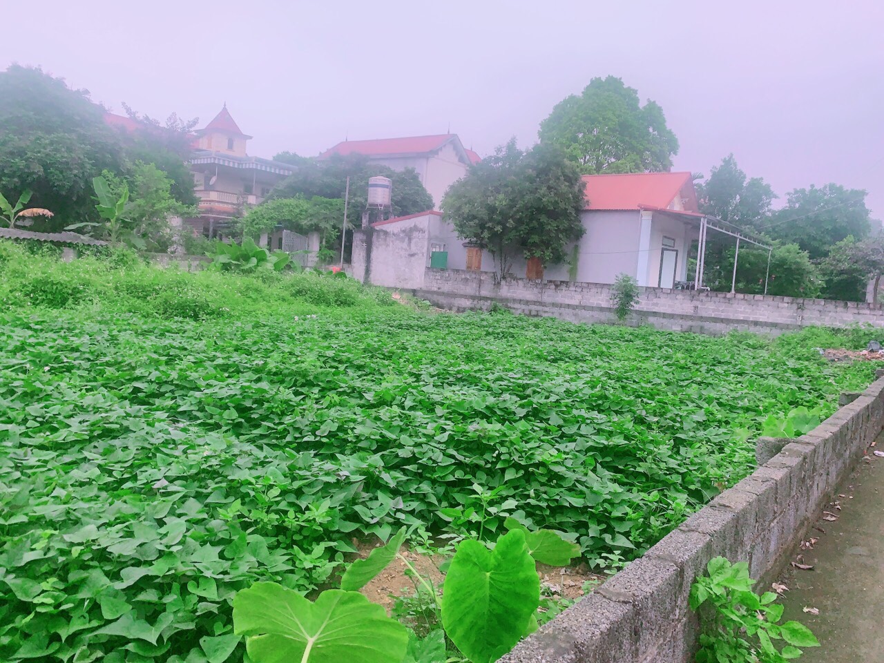 Bán đất lô đất đẹp giá rẻ tại thôn Đông Nam, xã Nam Phương Tiến, Chương Mỹ, DT 726m2, vị trí đẹp