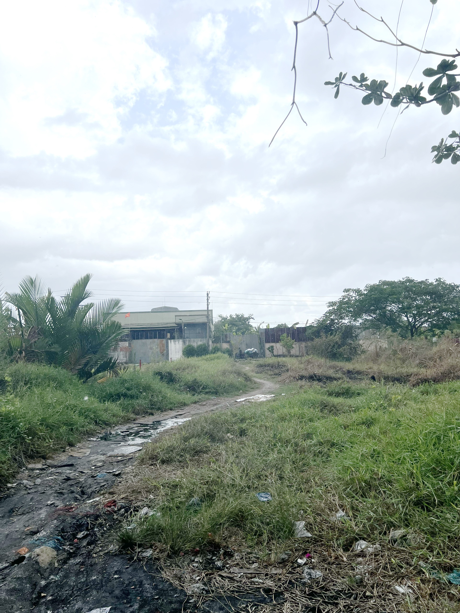 Bán 50.000m2 đất đường Xương Cá 1 xã Phong Phú H.Bình Chánh. Giá 195 tỷ