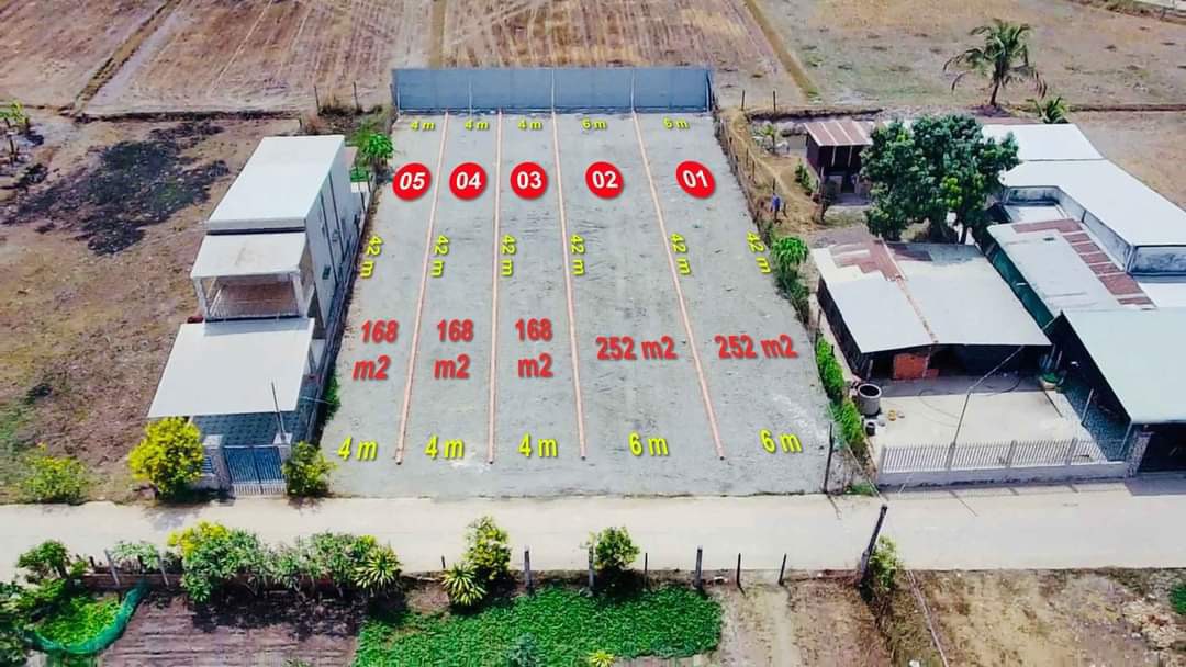 Chính Chủ Cần Bán Đất Mặt Tiền Vị Trí Đẹp (đã tách thành 05 lô ) Tại Hòa Khánh Tây , Long An