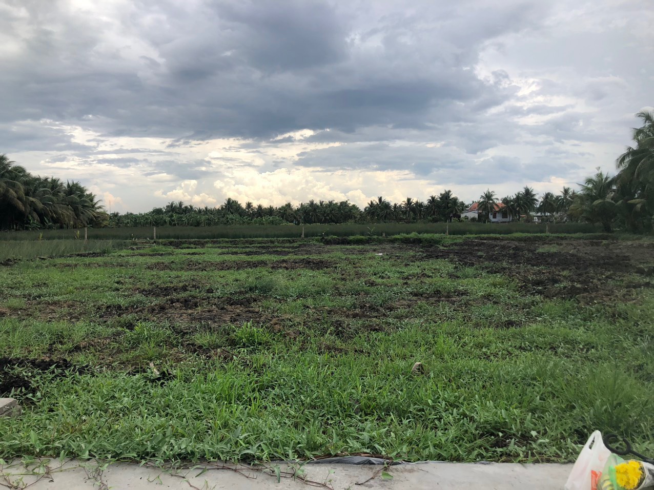 BÁN ĐẤT MẶT TIỀN QUỐC LỘ 51 Phường Phước Trung, TP Bà Rịa, Vũng Tàu, DT 24x40m