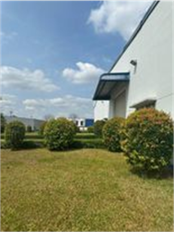 chuyển nhượng nhà xưởng trên diện tích đất 1ha5, hạ tầng giao thông thuận lợi gần cầu cảng