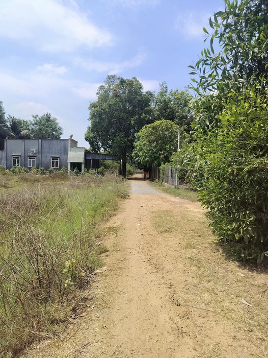 BÁN NHANH ĐẤT ĐẸP - VỊ TRÍ ĐẮC ĐỊA tại Thanh Phước, Gò Dầu, Tây Ninh