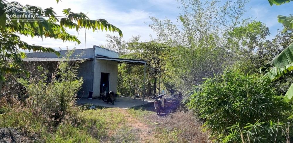 CHÍNH CHỦ CẦN BÁN LÔ ĐẤT RỘNG VỊ TRÍ ĐẸP GẦN QUỐC LỘ 28B, PHAN LÂM, BẮC BÌNH, BÌNH THUẬN