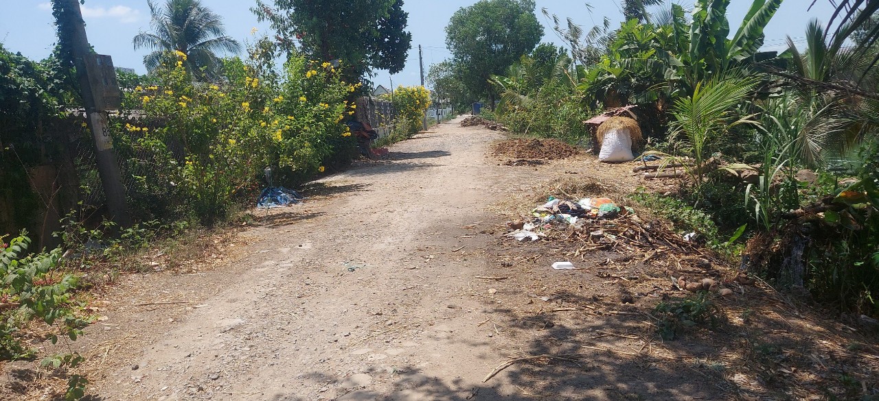 ĐẤT ĐẸP GIÁ TỐT ấp 7, xã Tam Hiệp, Châu Thành, Tiền Giang