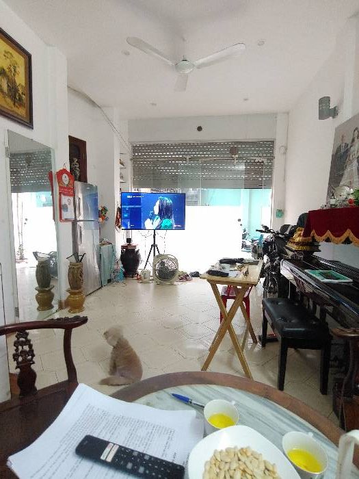 Khuôn viên BIỆT THỰ Nguyễn Thượng Hiền 30m 3 tầng MT4m chỉ 7.8 tỷ - NGÕ NÔNG SÁNG, NHÀ THOÁNG SẠCH