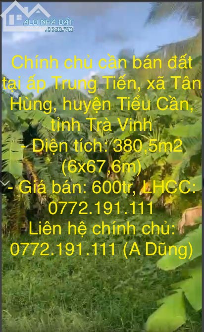 Chính chủ cần bán đất ấpTrung Tiến, xã Tân Hùng, huyện Tiểu Cần, tỉnh Trà Vinh