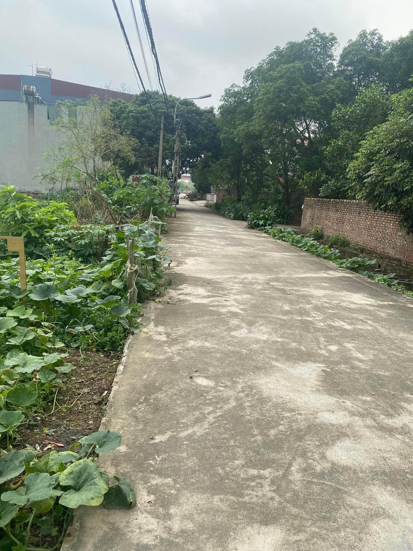 Ngọc Nội - Trạm lộ : Đất Dãn Dân - Nhà nước . Giá rẻ hơn thị trường 200tr. lh 0936236658