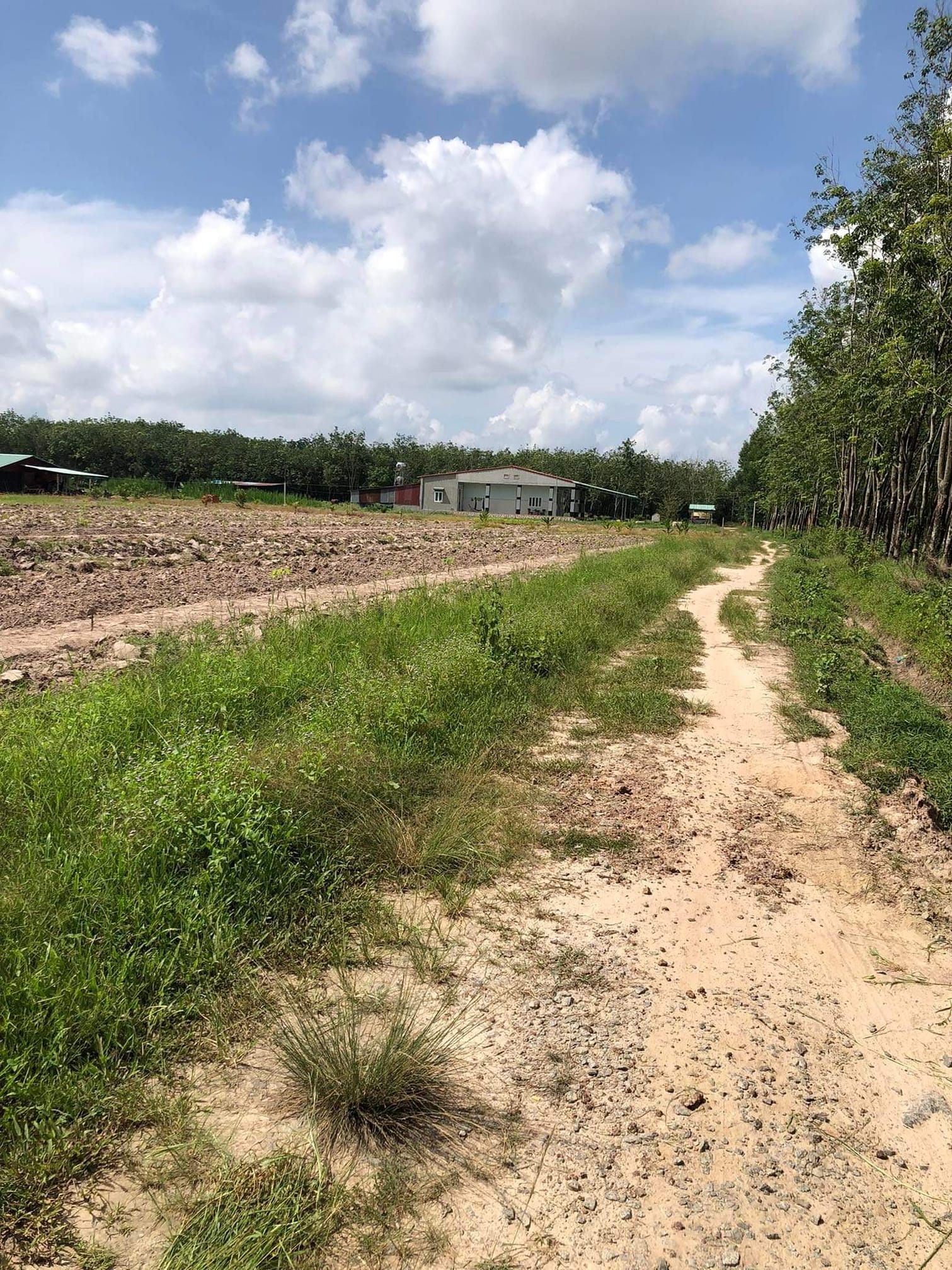 Chính chủ cần bán lô đất 20x10 với giá 8xxtr