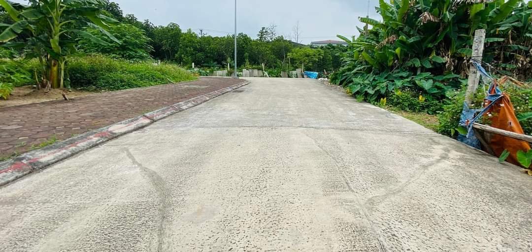 Bán đất đấu giá X1 Việt Hùng Đông Anh Hà Nội