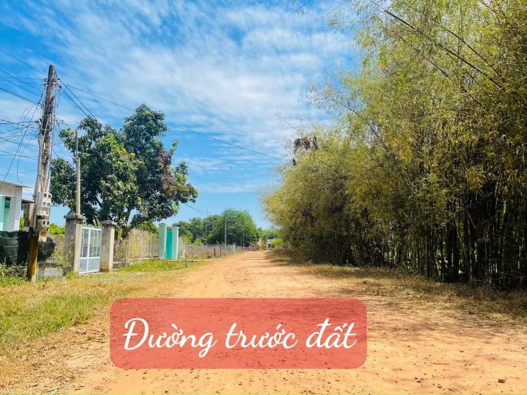 BÁN ĐẤT ĐẸP - Vị Trí Đẹp Tại Long Vĩnh, Châu Thành, Tây Ninh