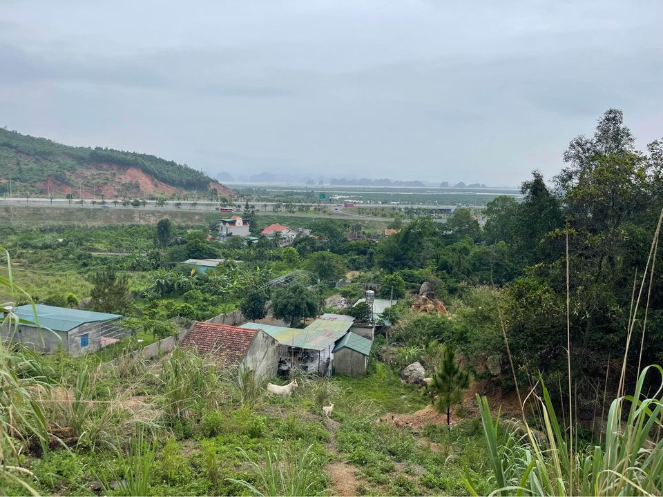 Bán Lô đất Trang Trại 1925m2 tại Tổ 2, Khu Cầu Trắng, Đại Yên, Tp. Hạ Long