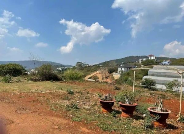 Bán đất biệt thự tại Măng Line Phường 7 Đà Lạt 215m2 4ty2