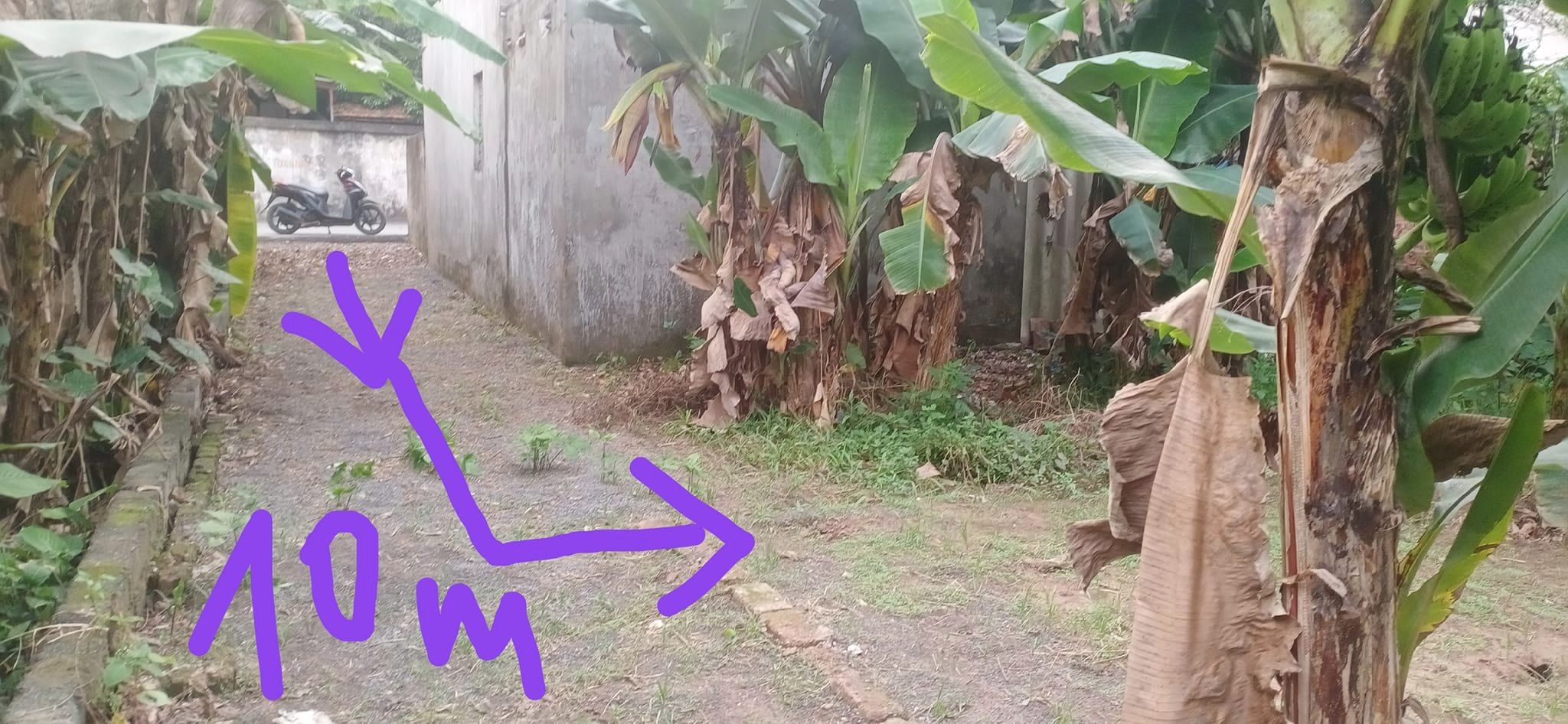 CC cần bán mảnh đất 40.3m2, tk6, nhỉnh 1 tỷ, An Thắng, Biên Giang, Hà Đông, Hà Nội