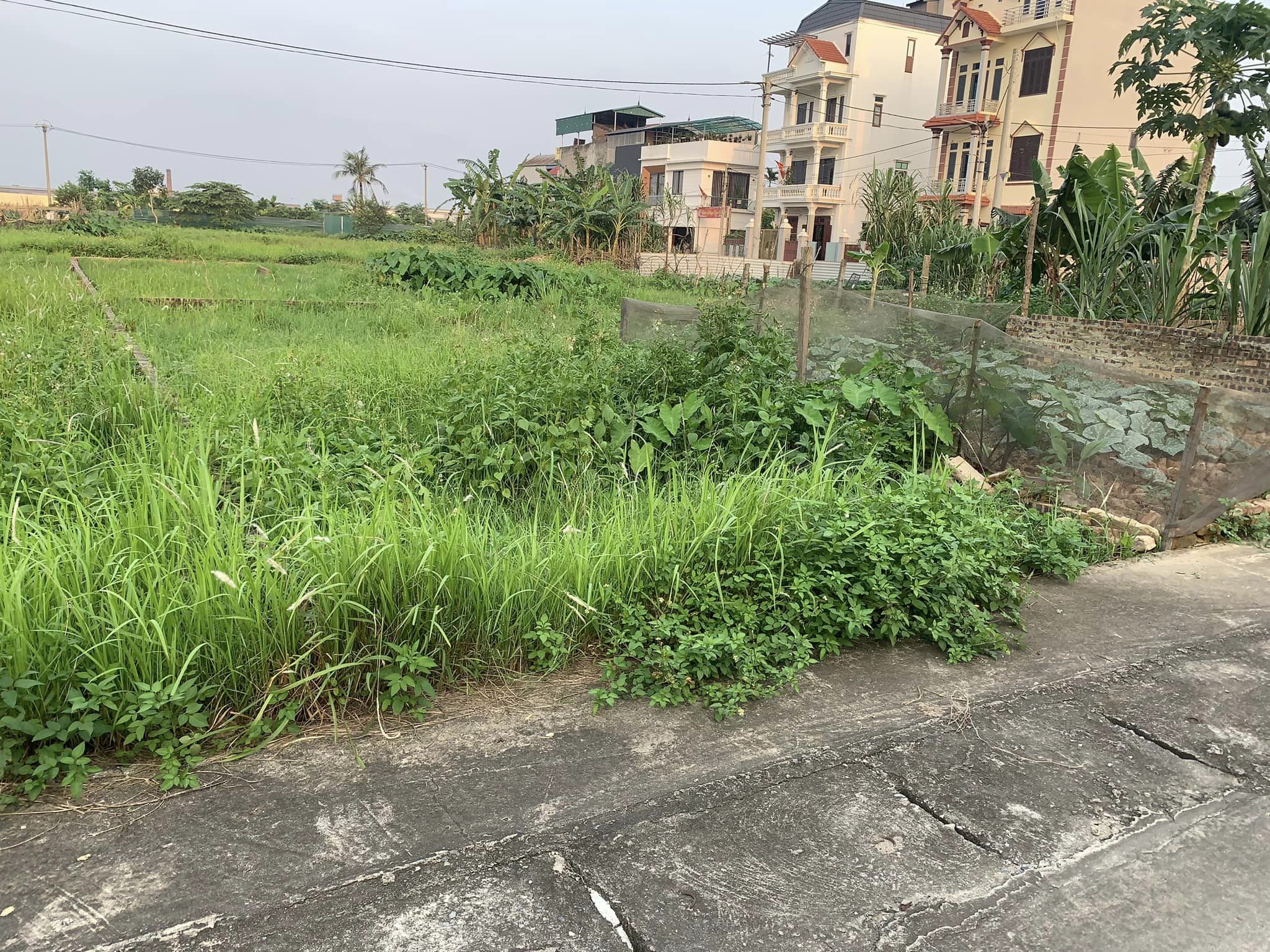 Chính chủ gửi bán 60,8m2 đất đấu giá thôn Làng Đồng, Nguyên Khê, Đông Anh, Hà Nội